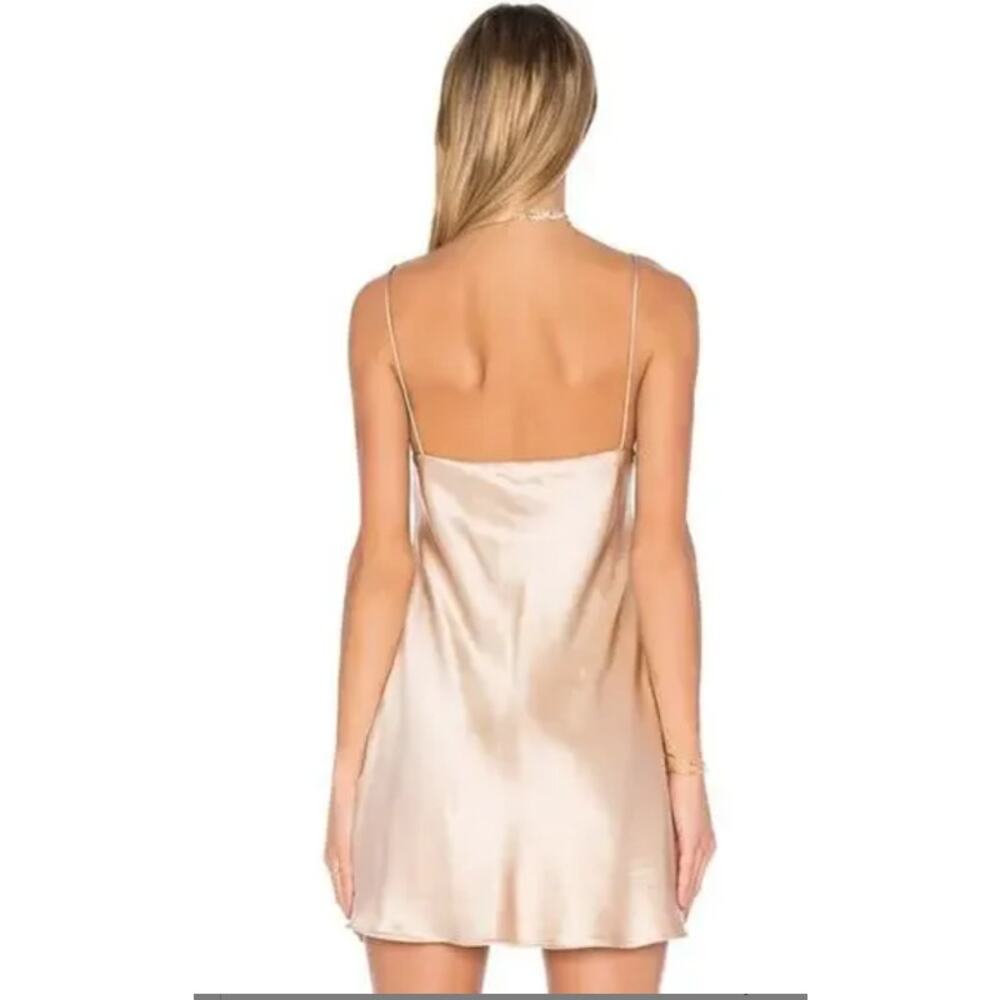 Backstage Naomi Dress in Mink Champagne NWT Size XS - Picture 4 of 4